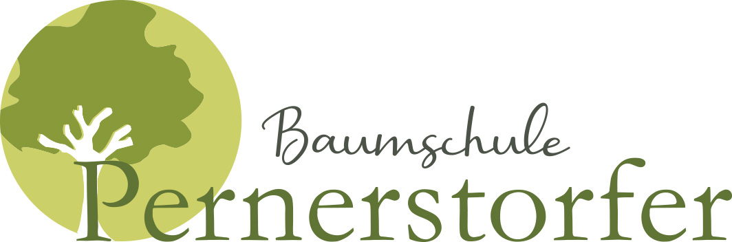 Baumschule Pernerstorfer